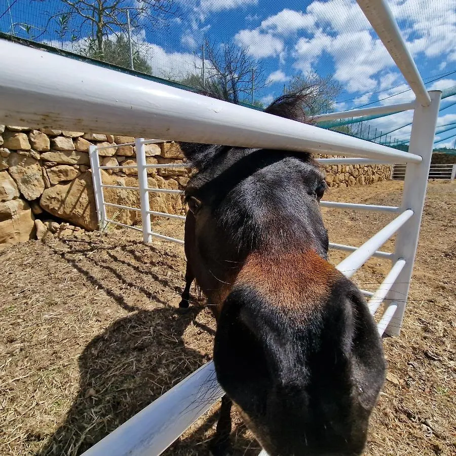 Agriturismo Il Drago Piazza Armerina