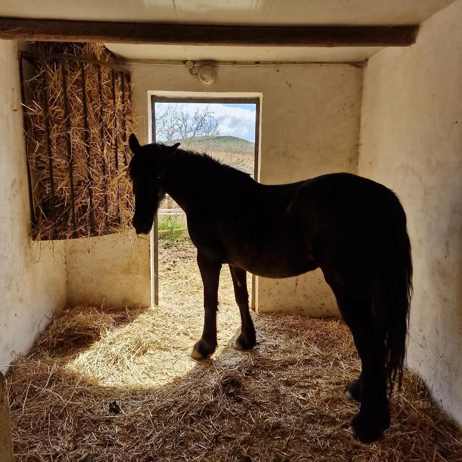 Agriturismo Il Drago Piazza Armerina Gospodarstwo agroturystyczne