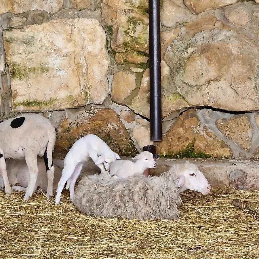 Agriturismo Il Drago Mirabella Imbaccari Séjour à la ferme Piazza Armerina