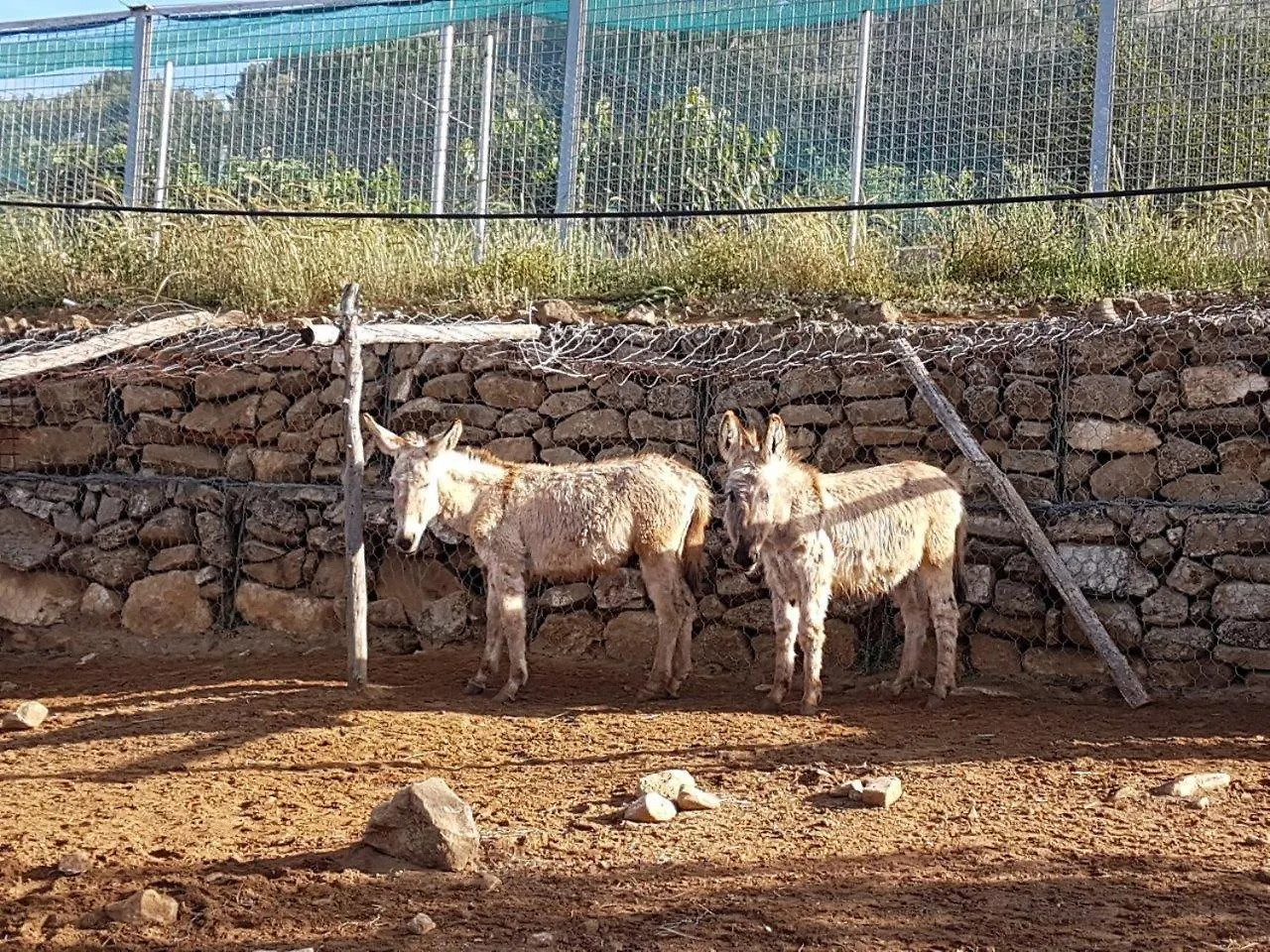 Agriturismo Il Drago Mirabella Imbaccari Piazza Armerina